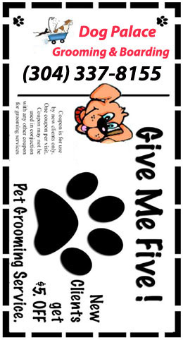 dog grooming coupon